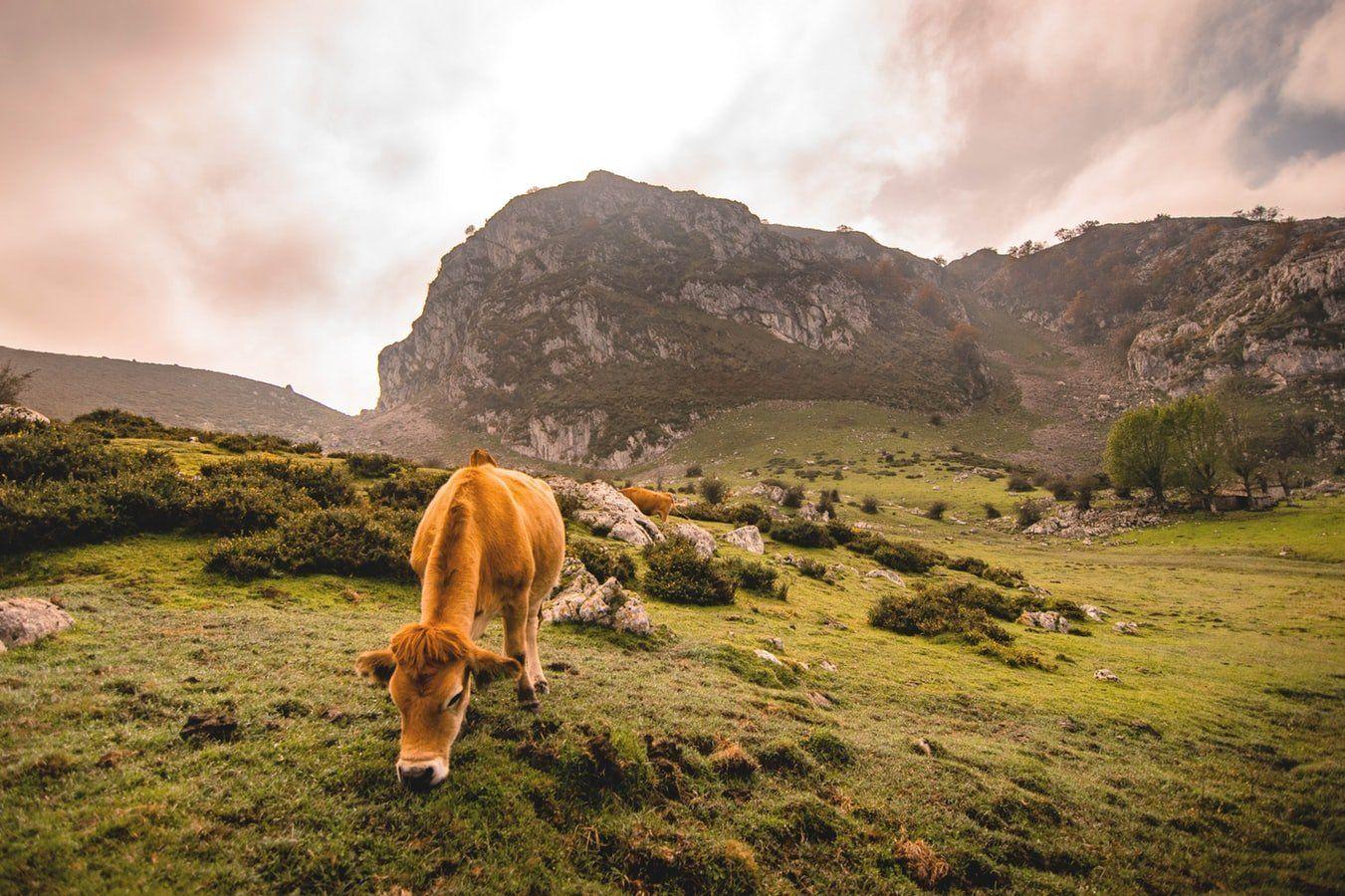 Qué ver en Asturias