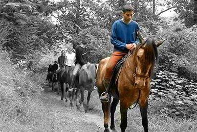 rutas caballo cangas de onis rutas caballo cangas de onis