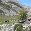 refugio picos europa